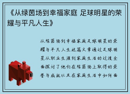 《从绿茵场到幸福家庭 足球明星的荣耀与平凡人生》